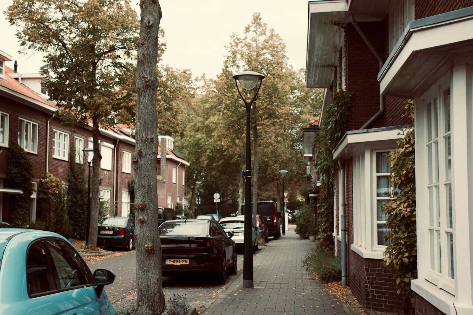 Kozijnen in Pernis